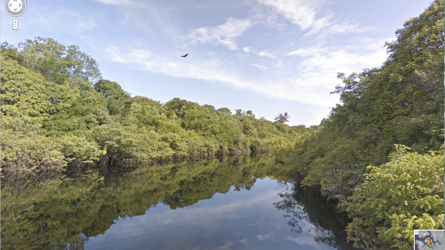 Amazon Rio Negro Google